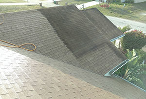 This photo is an example of our chemical roof cleaning process