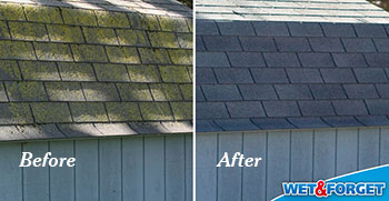 This is a before and after photo of roof cleaning using the WET&FORGET product