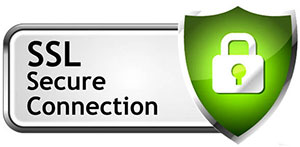 SSL Secure Connection Seal