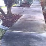 sidewalk before pressure washing